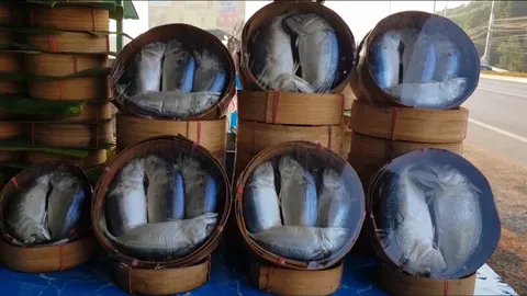 กรมทรัพย์สินฯให้ ปลาทูแม่กลอง เป็นสินค้า GI สมุทรสงคราม ของแท้ใส่เข่งหน้างอคอหัก (คลิป)