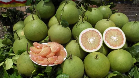 ส้มโอไทย เตรียมส่งไปญี่ปุ่นได้ทุกสายพันธุ์ โดยติดฉลาก Functional Foods เริ่มปี 67