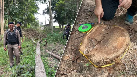 ชี้พิรุธอื้อ คดีไม้พะยูงของกลางหาย แฉเจ้าหน้าที่รัฐ สังกัดกระทรวงทรัพย์ฯ โผล่ปรากฏตัว