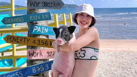 "แมท ภีรนีย์" เที่ยวทะเลสบายใจพร้อมอุ้มลูกหมูในชุดทูพีซสดใสมาก