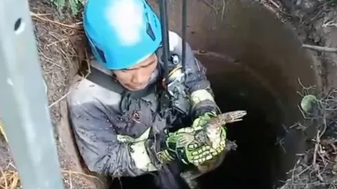 ทุกชีวิตมีค่า กู้ภัยโหนเชือกลงช่วย "ตัวเงินตัวทอง" ตกบ่อน้ำร้างลึก 5 เมตร