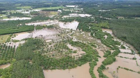 นา 2 พันไร่ 3 อำเภอ บึงกาฬ อ่วม หลังฝนตก 24 วัน เอ่อล้นพื้นที่การเกษตร