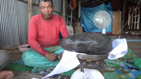 ชาวประมงประกาศขายอำพันทะเลก้อนใหญ่ ใช้หนี้ หลังเก็บใส่ตู้ไว้ 3 ปี (คลิป)