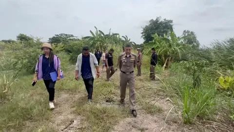 ตร.บางปะหัน เร่งตามจับแก๊งโจรลักตัดกล้วยน้ำว้าจากสวนชาวบ้าน เผยรู้ตัวแล้ว