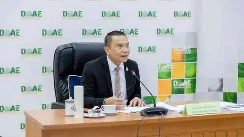 กสก.ประสานกำนัน-ผญบ.สำรวจการระบาดโรคใบด่างมันสำปะหลัง หลังกระทบเกษตรกร