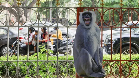 ไอเดียสุดบรรเจิด
