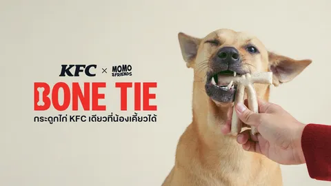 วันมะหมาโลก KFC ชวนเปลี่ยนมาให้ KFC BONE TIE กระดูกไก่ KFC เดียวที่น้องเคี้ยวได้ ครั้งแรกของโลก!