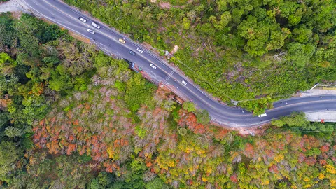 ถนนทางลงเขาป่าตอง มีสภาพเป็นคลื่นทำให้เกิดอุบัติเหตุบ่อยๆ วอนหน่วยงานช่วยตรวจสอบให้ที