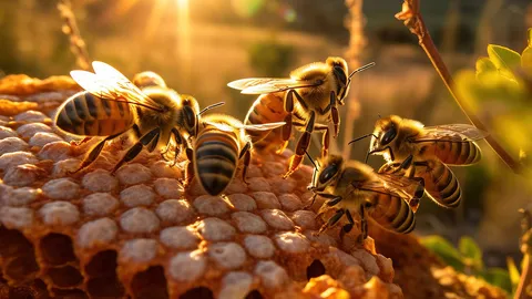 ระดมพลมาต้อนกลับ