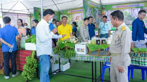 บุรีรัมย์โชว์ผลผลิตการเกษตร จากความสำเร็จเกษตรทฤษฎีใหม่ เพื่อดำรงชีพอย่างยั่งยืน
