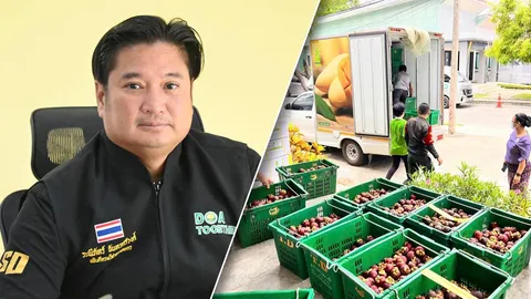 กรมวิชาการเกษตร รับลูก "ธรรมนัส" บูรณาการทุกฝ่ายแก้ปัญหาราคามังคุดภาคใต้