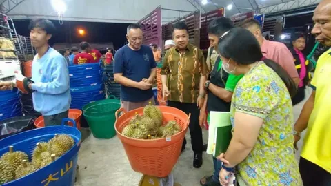 นายอำเภอเบตง ตรวจล้งทุเรียนขอให้ร่วมมือควบคุมป้องกันทุเรียนอ่อนออกสู่ตลาด