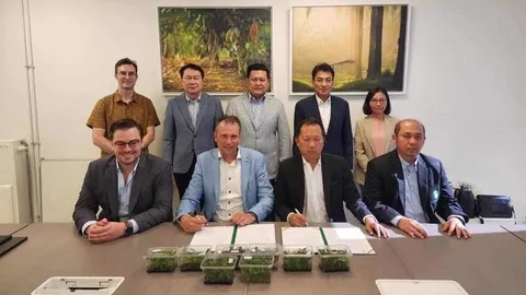 กยท.จับมือเอกชนพัฒนางานวิจัยเพาะเนื้อเยื่อ ได้ต้นยางฯ คุณภาพดี ผลผลิตเพิ่ม 30%