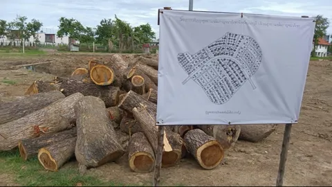 ชาวบ้านร้อง อบจ.นนท์ ตัดต้นไม้ใหญ่ ในอุทยานเฉลิมกาญจนาภิเษก