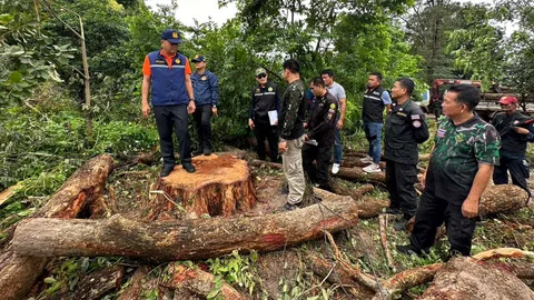 กาฬสินธุ์ จับ 6 มอดไม้ ลอบตัดต้นประดู่ 80 ปี พื้นที่ ส.ป.ก. ขายนายทุน (คลิป)