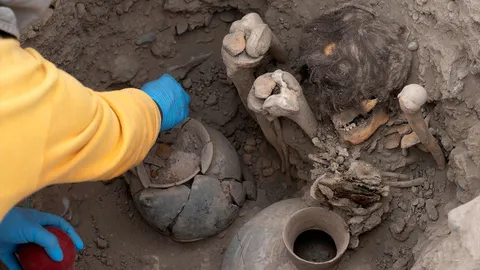 ขุดพบมัมมี่อายุ 1,000 ปี ในกรุงลิมาของเปรู