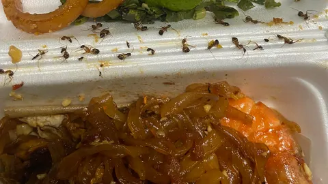 เยอะไปไหม สาวสั่งผัดไทย กินคำแรกไม่เป็นไร คำต่อไปเจอมดเกือบ 20 ตัว