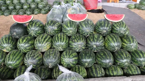 พ่อค้าแม่ค้าแตงโมขอนแก่น วอนรัฐคุมต้นทุนการเกษตร หลังแตงโมราคาขึ้น กก.ละ 4 บาท