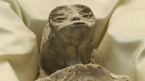 สุดตะลึง โชว์ ‘ฟอสซิลเอเลี่ยน‘ อายุนับพันปี กลางรัฐสภาเม็กซิโก