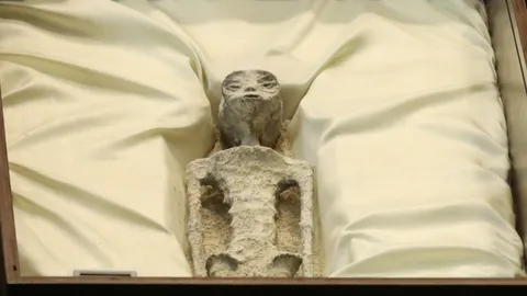 ใช่ซากมนุษย์ต่างดาวจริงไหม? ถกสนั่นโลก ‘ฟอสซิลเอเลี่ยน’ เปิดกลางสภาเม็กซิโก 