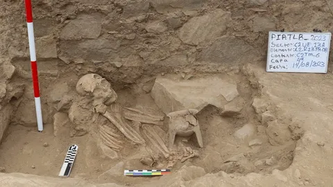 ค้นพบศูนย์กลางพิธีกรรมบูชาบรรพบุรุษชาววารี