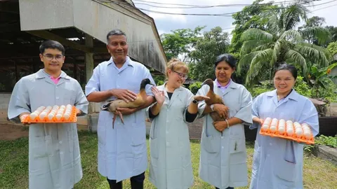 กรมปศุสัตว์ พัฒนาพันธุ์เป็ดไข่สุราษฎร์ แปรรูปสินค้า GI ไข่เค็มไชยา