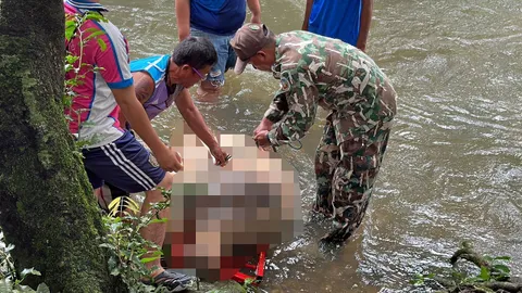 ลูกช้างป่าอีก เซ่นวังตะไคร้ ซากลอยอืด! กระแสนํ้าซัด ตัวที่ 2 ใน 10 วัน