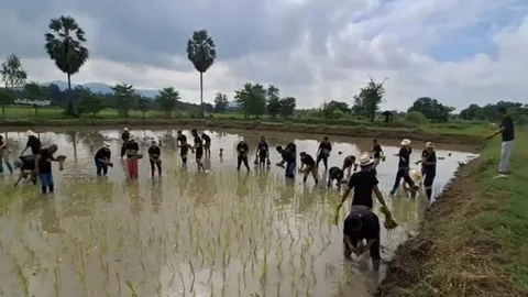 ททท.อุทัยธานี จัดทริปพาไปนำเที่ยวดำนา ชมควายงาม สัมผัสวิถีชีวิตชาวนาแท้ๆ 