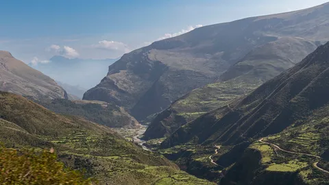 สลด รถบัสเปรูพลัดตกเขาแอนดีส ร่วง 200 ม. ดับแล้ว 24 ศพ เจ็บอื้อ