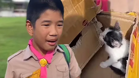 วุ่นทั้ง ร.ร. ยายไม่ให้เลี้ยงแมว เด็กประถมอุ้มใส่กล่องขอร้องครูรับเลี้ยง (คลิป)