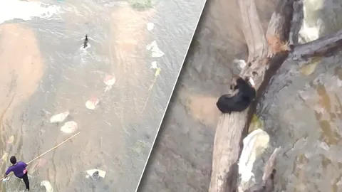 ทุลักทุเล ช่วยน้องหมา ตกสปิลเวย์ อ่างเก็บน้ำห้วยศาลา จนรอดชีวิต (คลิป)