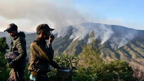 ออร์แกไนเซอร์ ‘คอตก’ โดนข้อหา พาบ่าวสาวไปถ่ายพรีเวดดิ้ง ทำไฟไหม้ป่าอินโดฯ