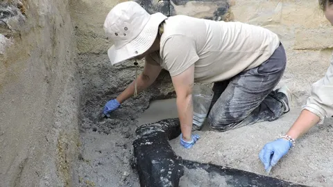 ฮือฮา ทีมสำรวจพบสิ่งปลูกสร้างไม้เก่าแก่สุดในโลกที่แซมเบีย อายุเกือบ 5 แสนปี