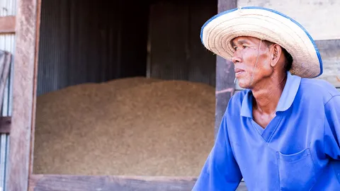 ถอดบทเรียนพักหนี้เกษตรกร 2 ล้านครัวเรือนไม่มีทางชำระหนี้หมดชั่วชีวิต