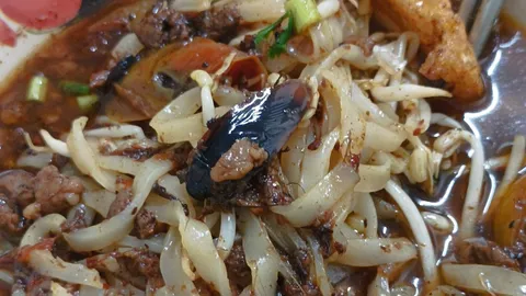 อ้วกสองรอบ สาวเจอ "แมลงสาบ" ตัวใหญ่ในอาหาร พอโทรบอกร้านดันได้คำตอบสุดพีก