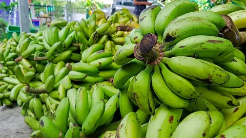 กล้วยศรีสะเกษราคาพุ่งเท่าตัว แถมขาดตลาดต้องนำเข้าจากเวียดนาม เหตุจากเอลนีโญ