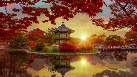 ปักหมุดเที่ยวเกาหลี ชมใบไม้เปลี่ยนสี ปลายปี 2023