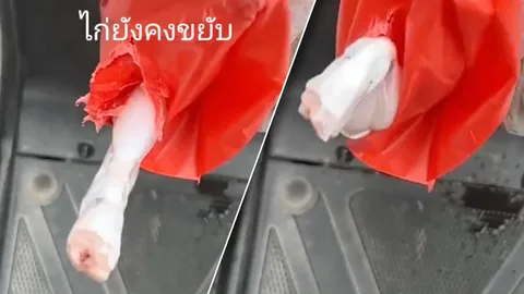 อ.เจษฎา ไขความลับไวรัลดัง ไก่ตายแล้ว แต่ขาขยับได้ ไม่ต่างจาก "กบหมาล่า" (คลิป)