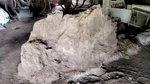 "พญาจอมปลวก" โผล่ศาลกลางบ้าน คอหวยไม่พลาดส่อง "เลขเด็ด" ขันน้ำมนต์