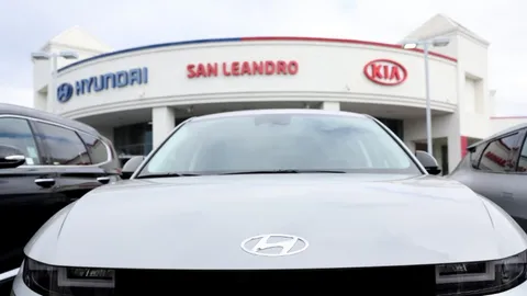 ฮุนได-เกีย เรียกคืนรถกว่า 3 ล้านคัน เสี่ยงเกิดไฟไหม้