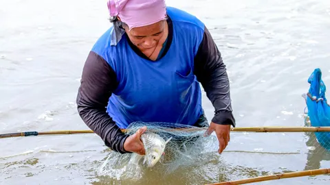 ชาวบ้านชุมแสง น้ำขึ้นรีบจับปลาไปขายริมถนน พ่อค้าต่างถิ่นแห่ซื้อทำรายได้ดี