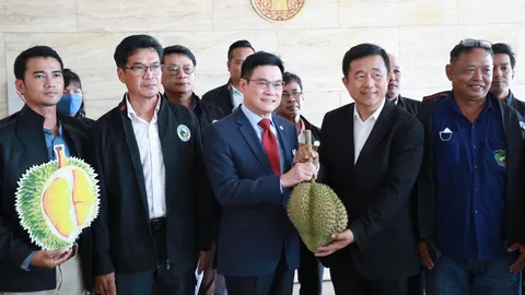แกนนำ ปชป. เตรียมชงที่ประชุมพรรค แก้ปัญหาทุเรียนให้ครบวงจร