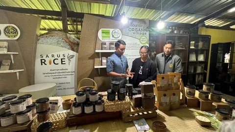 กรมข้าวหนุนการผลิต ข้าวอินทรีย์บ้านสวายสอ โยงนกกระเรียนไทยสร้างอัตลักษณ์