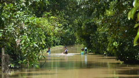 น้ำท่วมจันทบุรีเริ่มดีขึ้น ฝนลดลง ปภ.สรุป 3 วัน พื้นที่เกษตรจม 1.2 หมื่นไร่ 