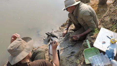 การค้นพบมนุษย์ทำโครงสร้างไม้ เกือบ 500,000 ปีก่อน