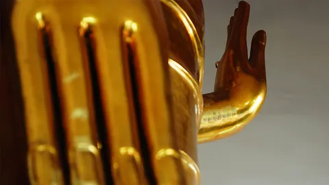 ฝ่ามือ? พ่อบ้านแหลม