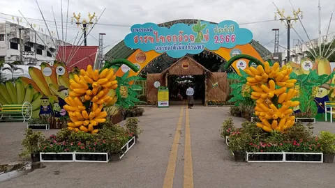 เกษตรกรขาณุวรลักษบุรี คว้าแชมป์ประกวดกล้วยไข่ งานประเพณีสารทไทยฯ กำแพงเพชร 2566