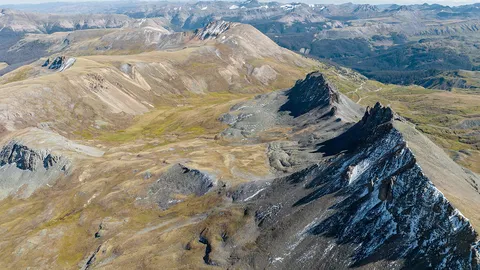 ทีมวิจัยเผยซากฟอสซิลชี้พืชสูญพันธุ์อย่างกว้างขวาง