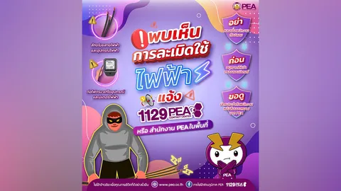 PEA เตือนละเมิดการใช้ไฟฟ้า อาจเสียค่าปรับและมีความผิดตามกฎหมาย