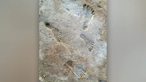 ทดสอบใหม่ยืนยันความเก่าแก่รอยเท้ามนุษย์